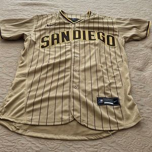 Nike San Diego Padres Fernando Tatis Jr. Jersey